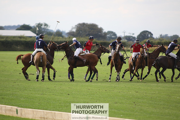 White Rose Polo 034