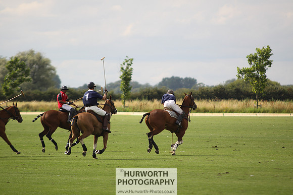 White Rose Polo 035