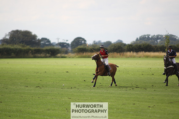 White Rose Polo 036