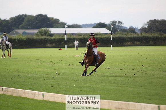 White Rose Polo 037