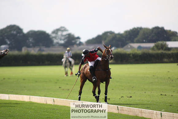 White Rose Polo 038