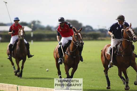 White Rose Polo 039