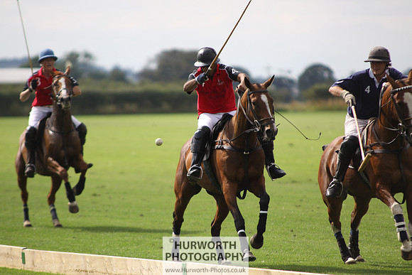 White Rose Polo 040