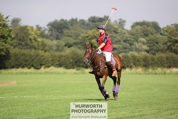 White Rose Polo 041