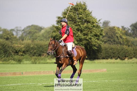 White Rose Polo 042