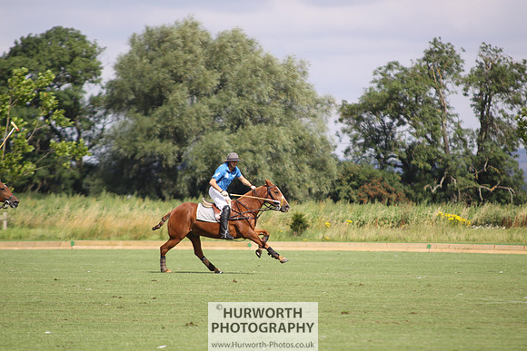 White Rose Polo 006
