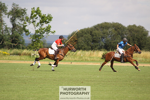 White Rose Polo 008