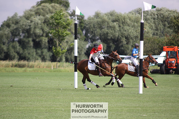 White Rose Polo 012