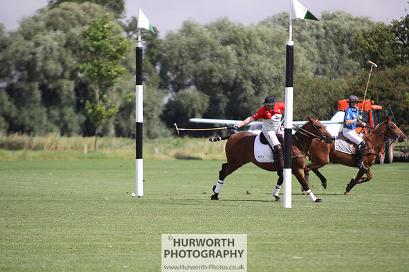 White Rose Polo 013