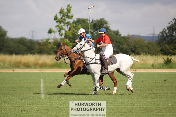 White Rose Polo 015