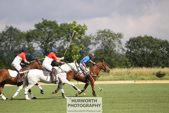 White Rose Polo 020