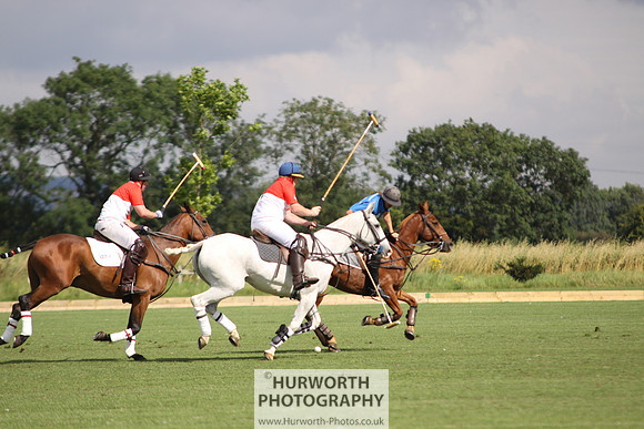 White Rose Polo 021