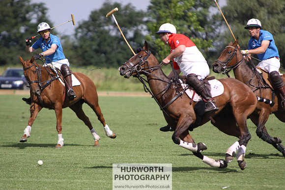 White Rose Polo 022