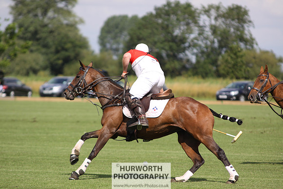 White Rose Polo 023