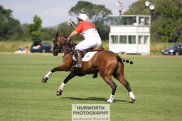 White Rose Polo 024