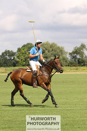 White Rose Polo 027