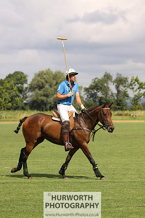 White Rose Polo 028