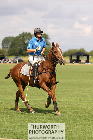 White Rose Polo 029