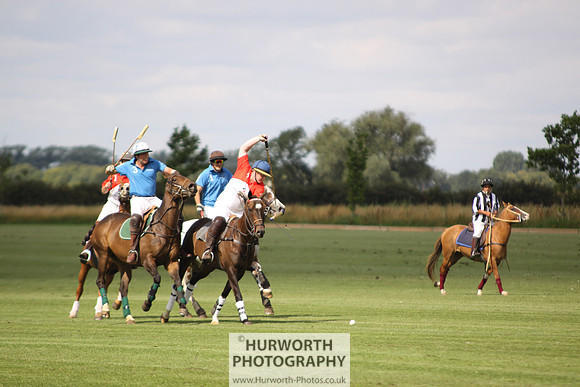 White Rose Polo 032