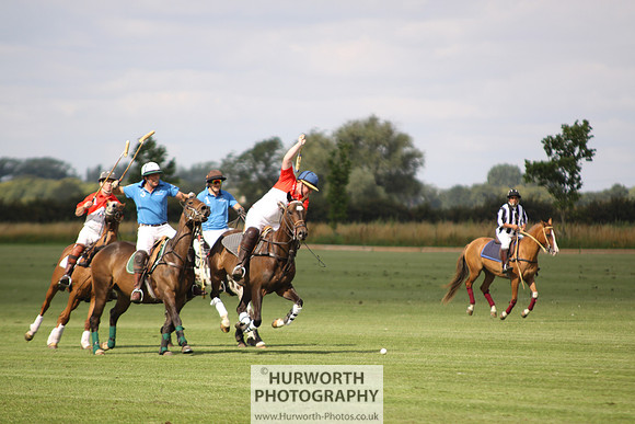 White Rose Polo 033