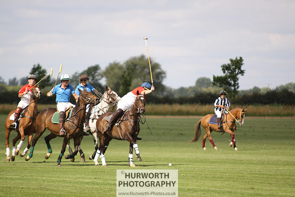 White Rose Polo 034