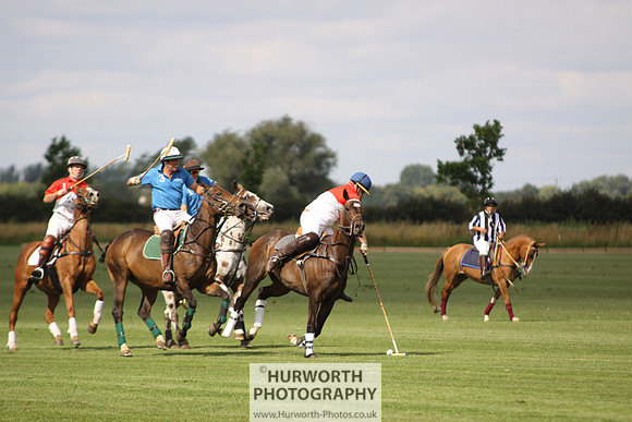White Rose Polo 035