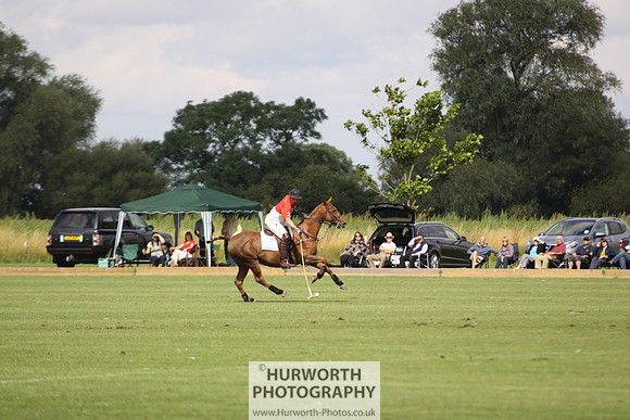 White Rose Polo 036