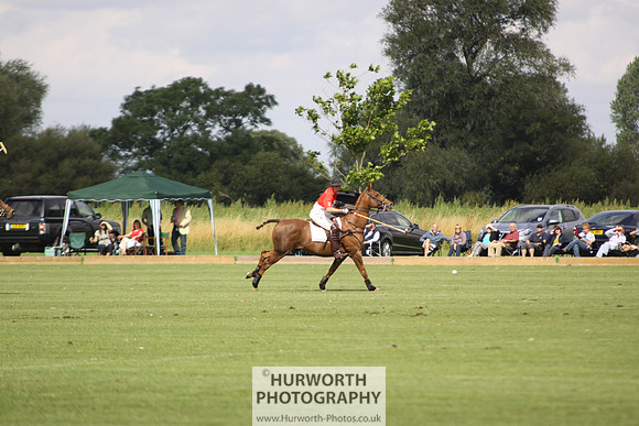 White Rose Polo 037