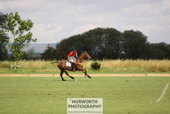 White Rose Polo 038