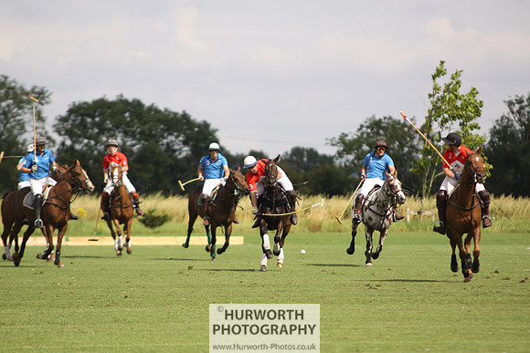 White Rose Polo 039