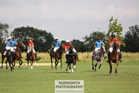 White Rose Polo 040