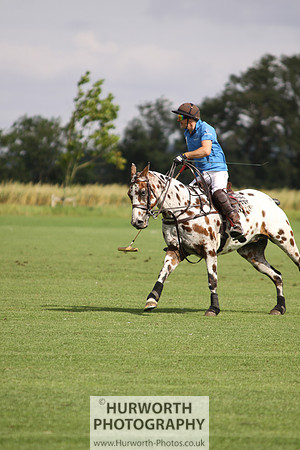 White Rose Polo 041