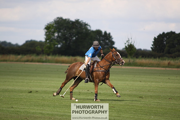 White Rose Polo 042