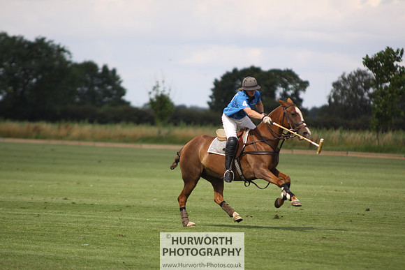 White Rose Polo 043