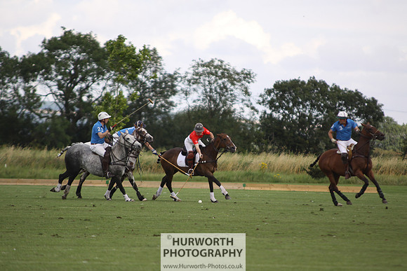 White Rose Polo 052