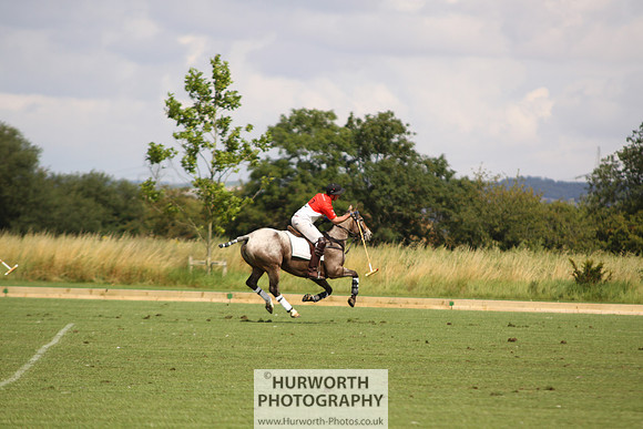 White Rose Polo 054