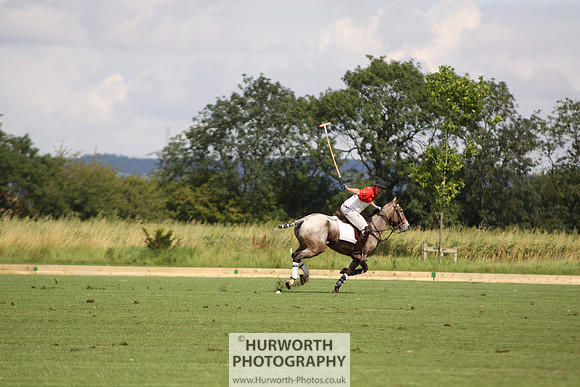 White Rose Polo 055