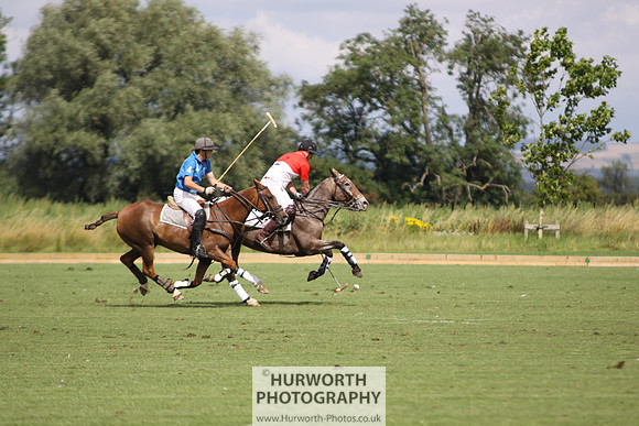 White Rose Polo 056