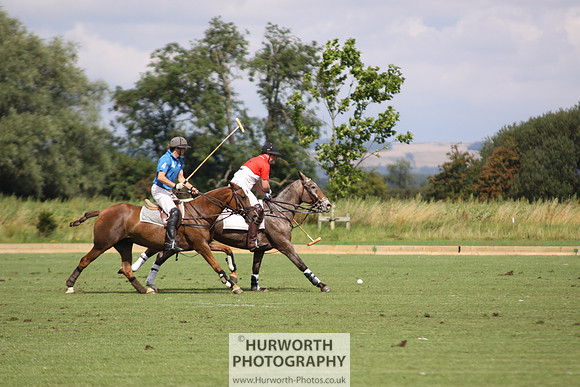 White Rose Polo 057