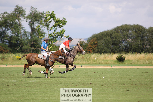 White Rose Polo 058