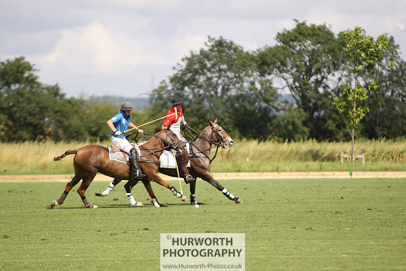 White Rose Polo 059