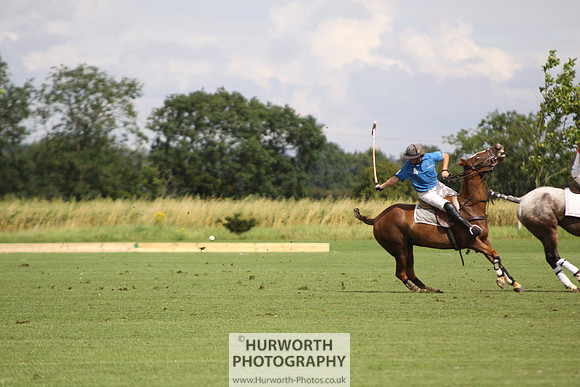 White Rose Polo 061