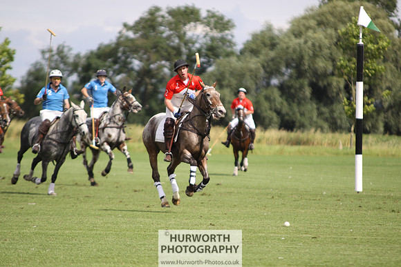 White Rose Polo 062