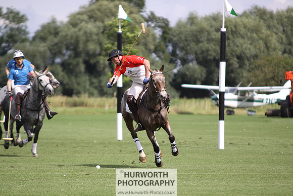 White Rose Polo 063