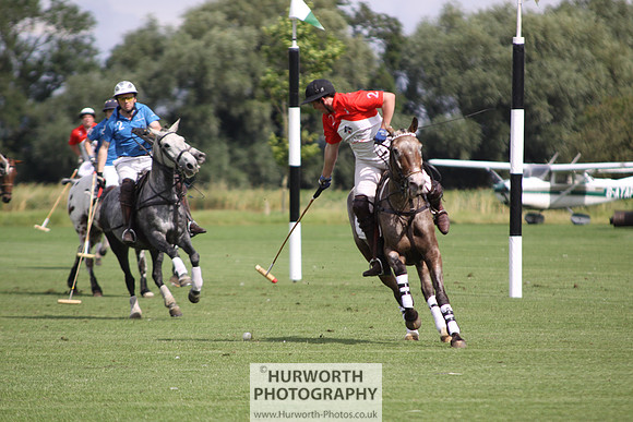 White Rose Polo 064