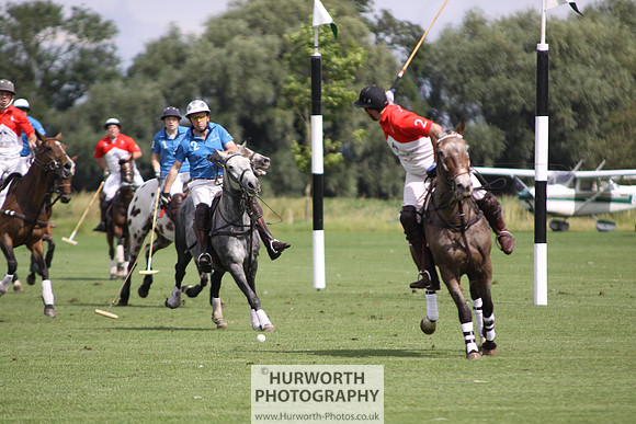 White Rose Polo 065