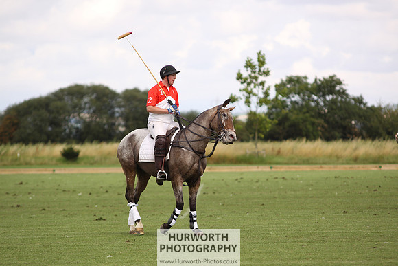 White Rose Polo 066