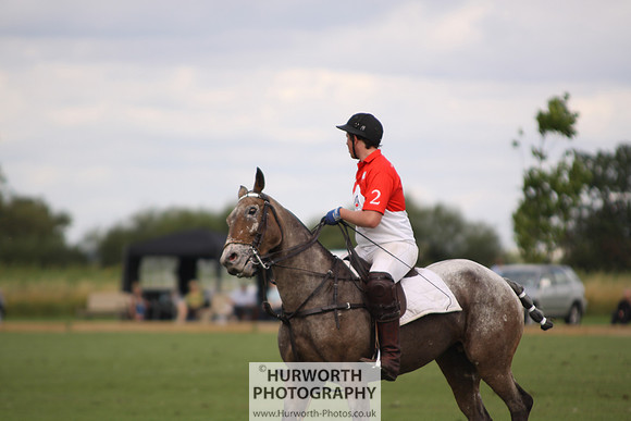 White Rose Polo 068