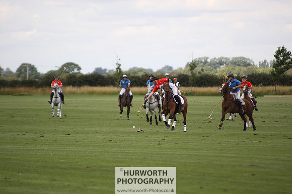 White Rose Polo 069