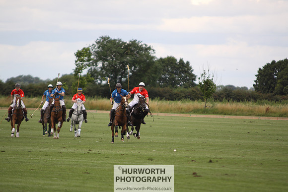 White Rose Polo 070